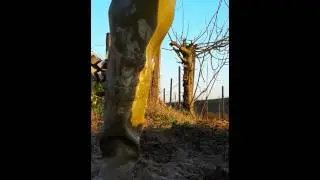 Mud Trento Waders/ Stivaloni nel fango