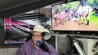 Modão sertanejo raiz viola caipira.( Nonato Taí Nonato Chegouuuu graças a Deus)
