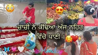 ਸਾਰੀ ਰਾਤ tejass ਨੇ ਕੀਤੀਆ ਇਲਤਾ 🙄😮&zwj;💨।। Niharika saroj।। #ytshorts #minivlog #viralvideo #vlog #funny