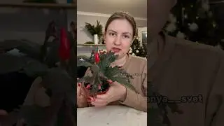 Больше полезного у меня в ТГ канале (@tanya_svett ) #комнатныецветы