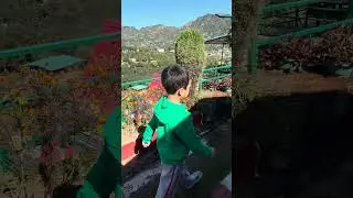 Biggest Spider I&rsquo;ve Ever Seen! 😱🕷️ | Kids Nature Vlog