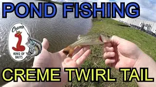 Spring Pond fishing with Creme Rigged Twirl Tails | Surprise Catch!