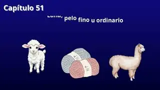 Secciones de la LIGIE