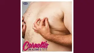Cesenatiche