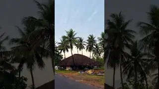 Konaseema 🌴❤️ #nature #village #amalapuram #konaseema #shorts #telugu #telugusongs #andhrapradesh