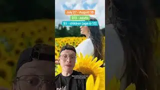 There's a huge sunflower festival in an Ontario field this month #ontario #sunflower #festival
