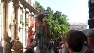 Parade in cuba!