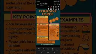 Cohesive Forces in physics, definition, key poits, examples and questions