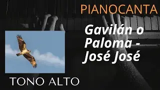 Gavilán o Paloma - José José (TONO ALTO)