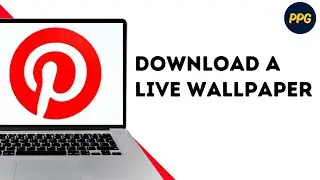 How to download a live wallpaper from Pinterest on laptop ?
