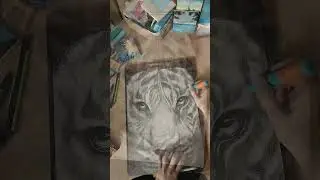 Creating a Tiger: Hyperrealism in Minutes 🖤✏️#timelapse #shorts  #pencildrawing #drawing #art