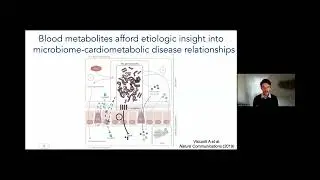 Human Microbiota, Metabolites, and Cardiometabolic Diseases: In Pursuit of Causality