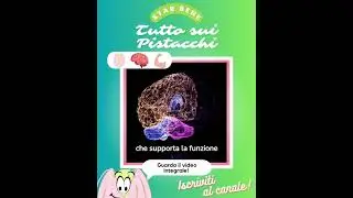 PISTACCHI: Piccole dimensioni, GRANDI BENEFICI❗😍