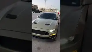 #mustang #mustanglife #car #wrap #coyotemustang #ford #fordperformance