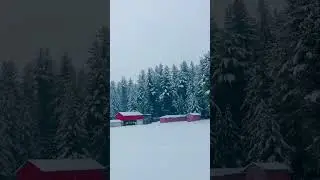 Swat valley pakistan🇵🇰 #shorts #snow #snowfall #swat #pakistan #mountains #winter #trending #yt