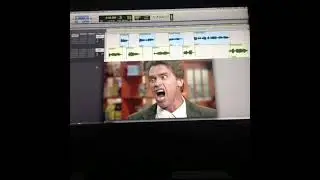 STOP SHOUTING