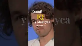 Какой IQ у Магнуса Карлсена? #шахматы #chess