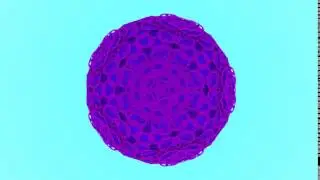 hartklopbloemetjeUhh0200 0250
