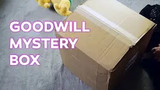 Unboxing a Goodwill Plushie Mystery Box