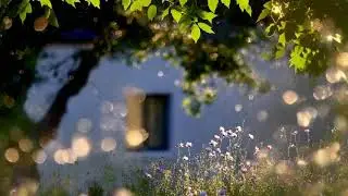 Fading Echoes of Light–Around 1hour60min Chill Music #relaxing #Sleepmusic #Studymusic #calmmusic