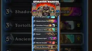 Hydration Warrior Deck List - Hearthstone 32.2.2