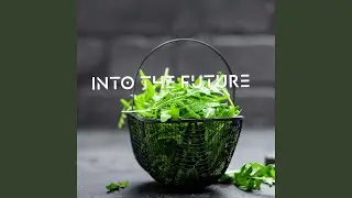 Into the Future
