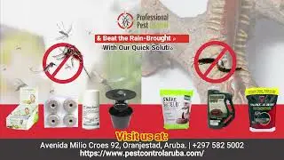 Professional Pest Control&rsquo;s Drive-Thru Solutions for Rain-Brought Pests