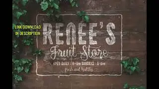 Holistic Font | Font | Free Font | Script Fonts | Font Bundle