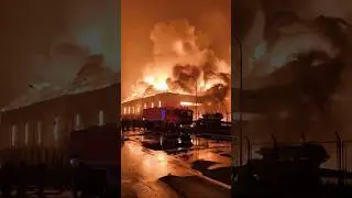 #outdoors #viralshorts #wildfire #fire