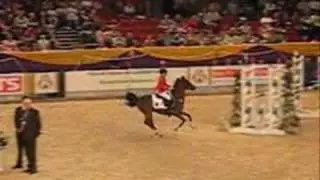 Horses - Crash & Burn