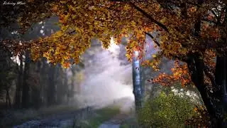🌿 Very useful relaxing and nature sleeping music for all , spa ,zen ,reiki , healing calm and music