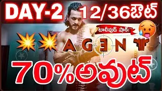 Agent 2nd Day Gross Collection | Agent Second Day Collection | Akhil Agent Collections
