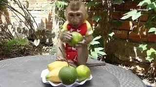 Donal Choose Orange To Eat But Cannot Peel | Donal Look Mom Cutting Fruits For Him