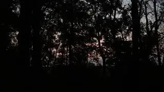 iowa sunset through trees - music improv with loop pedal