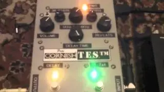 Pete Cornish T.E.S. - Tape Echo Simulator
