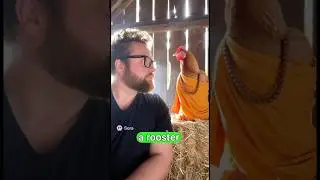 He Loves What?!?