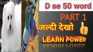 D SE WORD MEANING ENGLISH TO HINDI,D SE WORD,D SE WORD HINDI ENGLISH LEARN POWER ,WORD, WORD HINDI