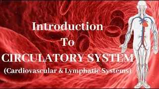Introduction to Circulatory System/Cardio Vascular & Lymphatic Systems Lecture for Medical students