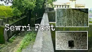 Sewri Fort - Mumbai