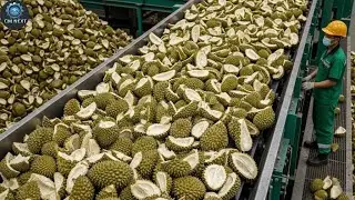 From Durian Shells To New Products | Inside A Modern Recycling Factory