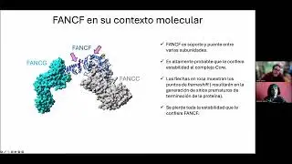 Javier Santos - Anemia de Fanconi