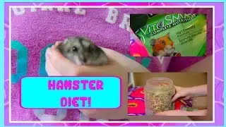 Hamster DIET! Diet for my HAMSTERS & Tips!