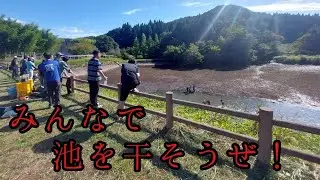 Pond drying event held in Yazu Town