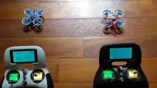 Problem with two turnigy evolutions