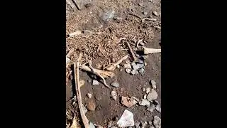 Estado de la playa de Playa Quemada