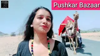 Pushkar Market Street Food Sweets Rajasthani Dress CamelsCart Best tea