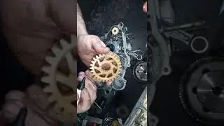 2° parte montaje motor Rotax 122 Aprilia RS 125