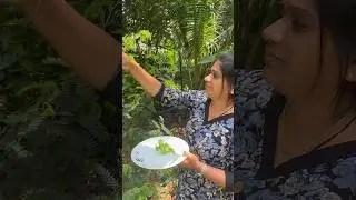 വാഴയിലയിൽ പൊള്ളിച്ച പുളിയില മത്തി !! Meen Puliyila  !! #abhiscafe