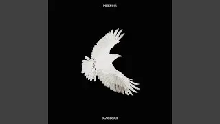 Black Cult