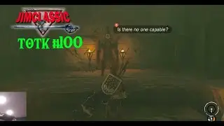 LOZ Tears of the Kingdom gameplay 100